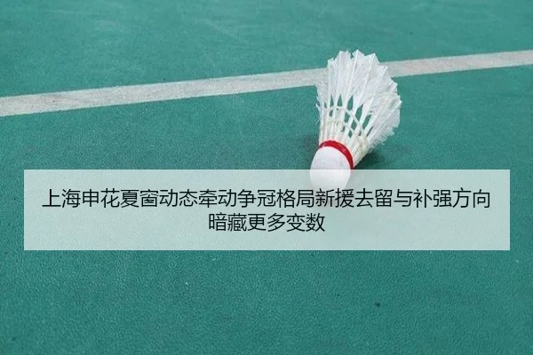 上海申花夏窗动态牵动争冠格局新援去留与补强方向暗藏更多变数